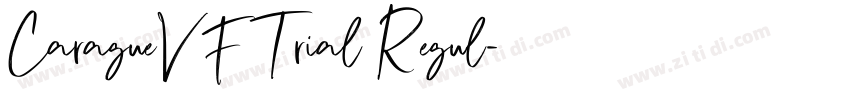 CaragueVFTrial Regul字体转换 CaragueVFTrial Regul字体转换